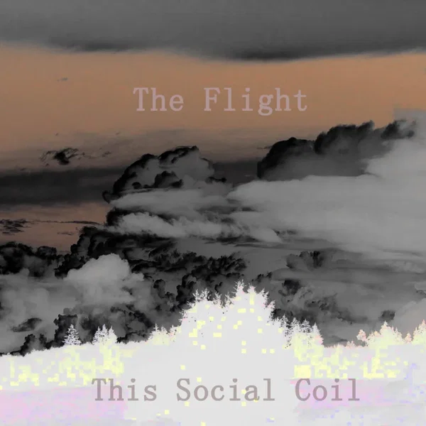 The Flight