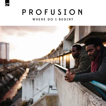 Where Do I Begin? by Profusion - album cover
