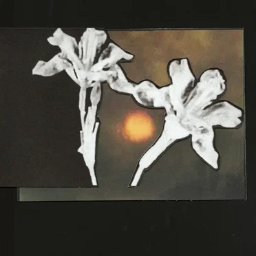 Loving You / Don't Let Me Go