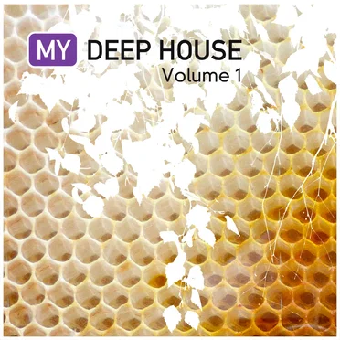 My Deep House, Volume 1 by Various Artists - album cover