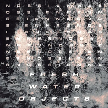 Fresh Water Objects by Nossiennes - album cover