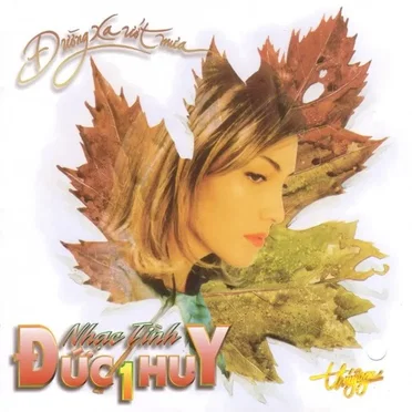 Nhạc tình Đức Huy 1 - Đường xa ướt mưa by Various Artists - album cover