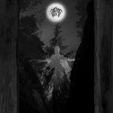 Amidst the Trees by Taatsi - album cover