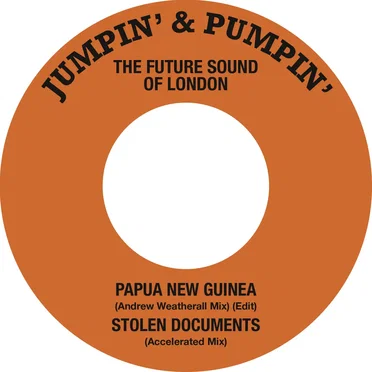 Papua New Guinea / Stolen Documents