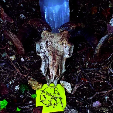 GRNTRLCSTRMCRYSTLSPNRRLLTR V.XI.MMXIX by A.R.:.O.:.A.A - album cover