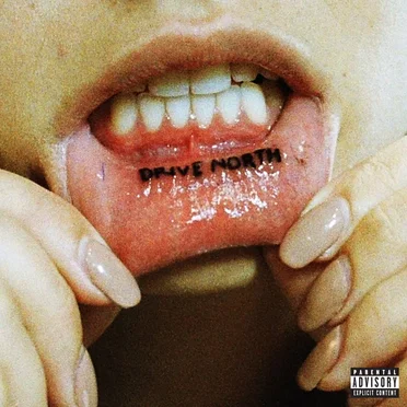 Drive North by SWMRS - album cover