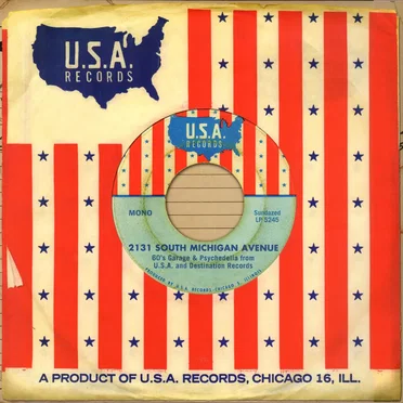 2131 South Michigan Avenue: 60's Garage & Psychedelia from U.S.A. and Destination Records by Various Artists - album cover