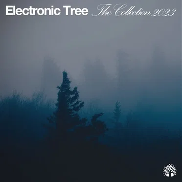 The Collection 2023 by Various Artists - album cover
