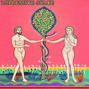 Impressive Snake by Mickey 9s - album cover
