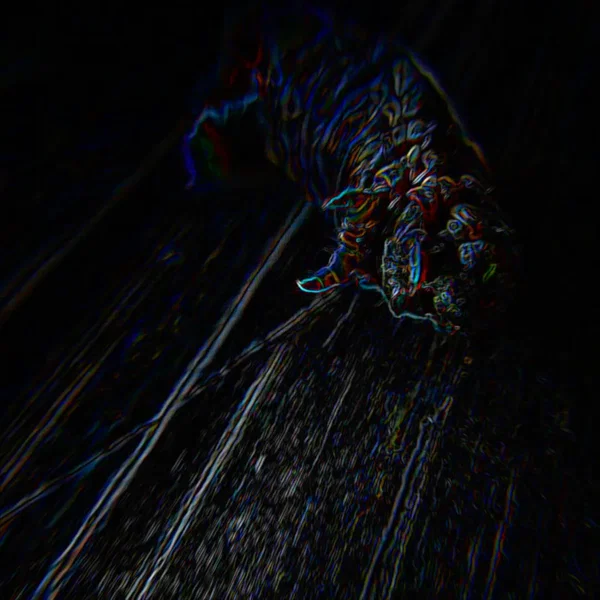 Enigma
