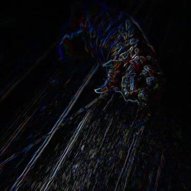 Enigma by Washed Up Wings - album cover