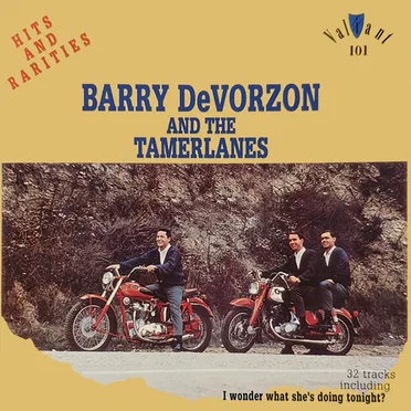 Hits and Rarities by Barry and the Tamerlanes - album cover