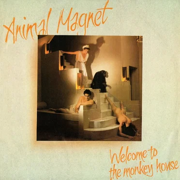 Animal Magnet