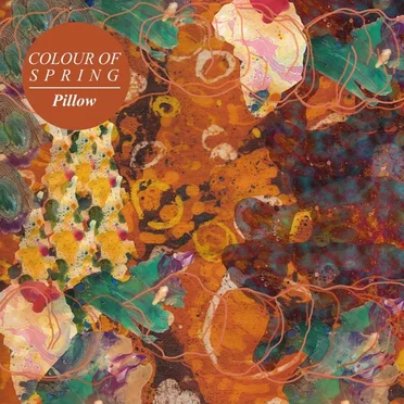 Pillow by Colour of Spring - album cover