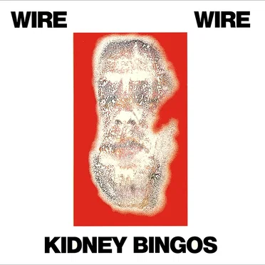 Kidney Bingos