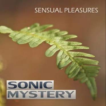 Sensual Pleasures by Sonic Mystery - album cover