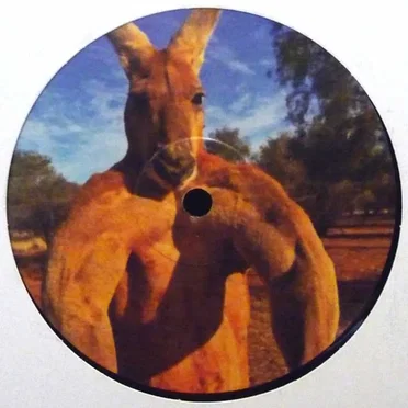 Kangaroo Sunset EP by Various Artists - album cover