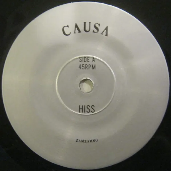 Hiss / Palms