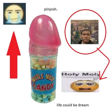 LIFE COULD BE DREAM!!!