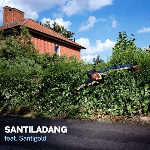Santigold