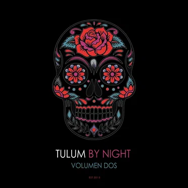 Tulum by Night, Vol. 2 by Various Artists - album cover
