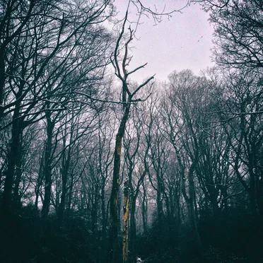 Liminal