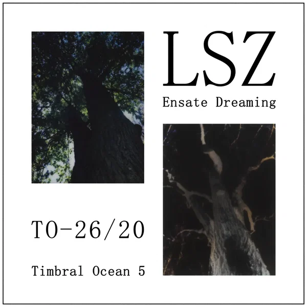 Ensate Dreaming