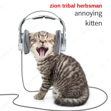 annoying kitten by Zion Tribal Herbsman - album cover