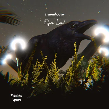 Open Land by Traumhouse - album cover