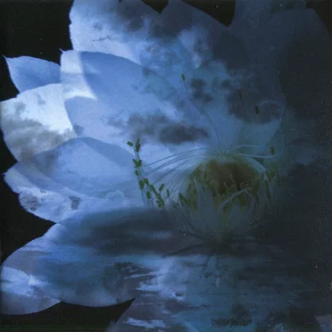 LUNA SEA MEMORIAL COVER ALBUM -Re:birth- by Various Artists - album cover