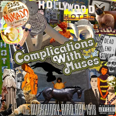Complications With Muses