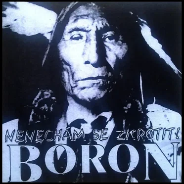 Nenechám se zkrotit by Boron - album cover