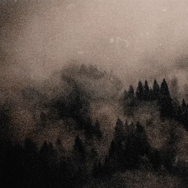 That Comes From the Tree and the Mist