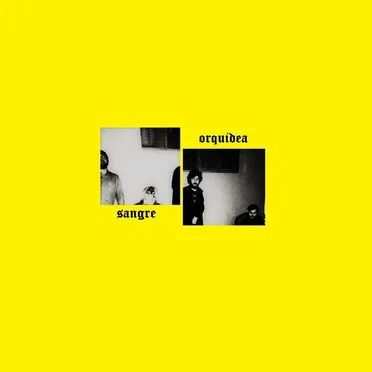 Sangre /// Orquídea by Consejo - album cover