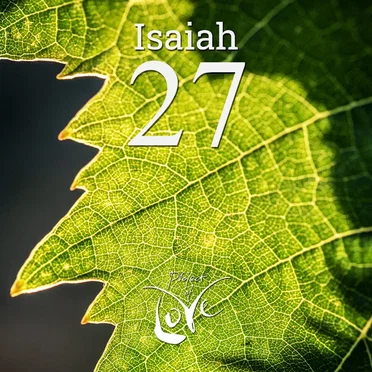 Isaiah 27 - Fruitful Vineyard by Project Of Love - album cover