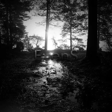 Remember This by EvenS - album cover
