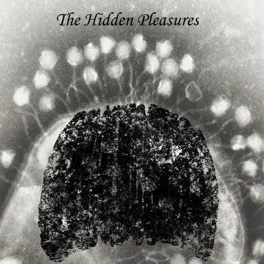 The Hidden Pleasures