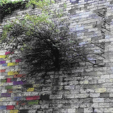L'arbre aux papillons