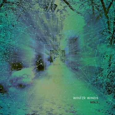 WINTΞR WINDS Vol. 1 by Various Artists - album cover
