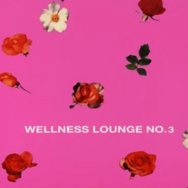 Wellness Lounge No.3 by Various Artists - album cover