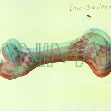 Animal by Osso Vaidoso - album cover