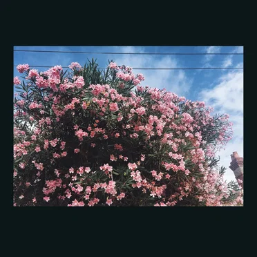 Drag It Down on You by Ceres - album cover