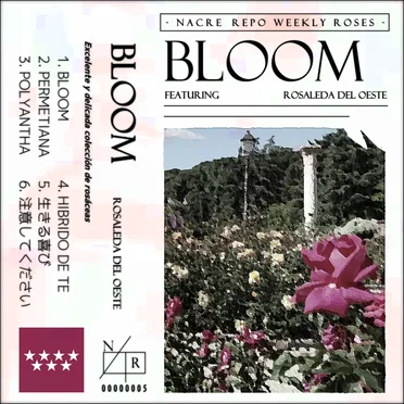 Nacre Repo Weekly Roses | BLOOM