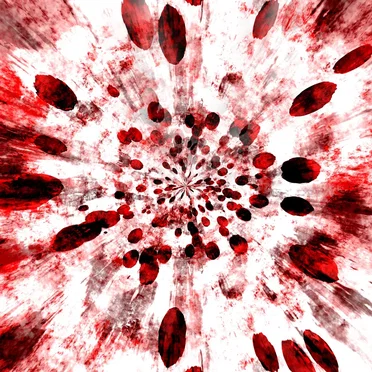 Euphoric Entropy EP by Home Brewed Universe - album cover
