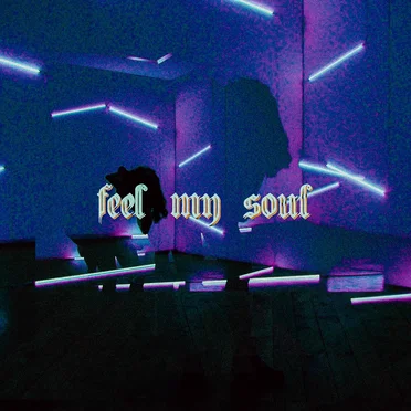 Feel My Soul