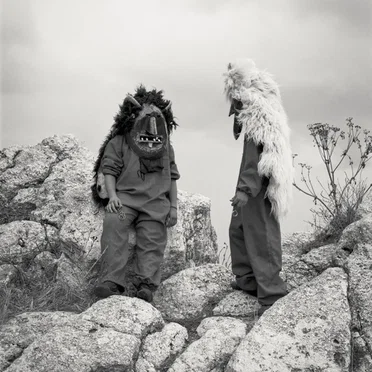 The Haar by Black Foxxes - album cover