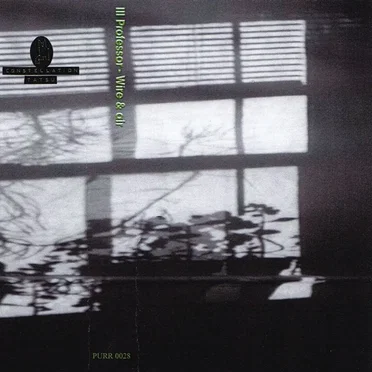 Wire & Air by Ill Professor - album cover