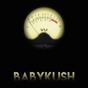 The Stories of the vu meter by Baby Kush - album cover