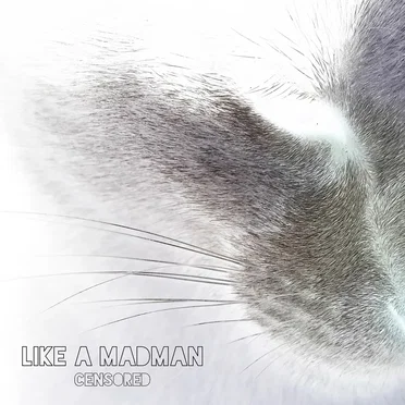 Censored by Like A MadMan - album cover