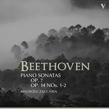Piano Sonatas, op. 7 / op. 14 nos. 1-2